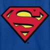 Spreadshirt DC Comics Superman Logo Original Kinder T-Shirt